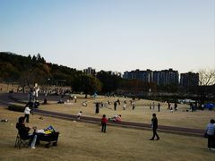 -牛岗山公园