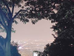 -惠山国家森林公园