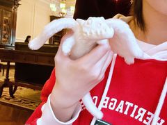 -Salon de Ville浦江汇(上海外滩华尔道夫酒店店)