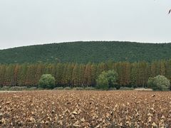 -云龙湖旅游景区