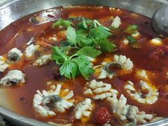 -重庆乌鱼庄·龙滋鲜(青羊大道店)