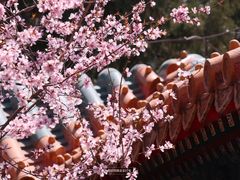-颐和园-画中游