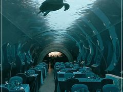 -海棠湾洲际-涛·海底餐厅·美人鱼·自助餐·海底隧道