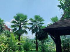 -广州都喜泰丽温泉度假酒店