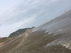 -大鹿岛