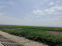 -南汇嘴观海公园