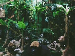 -济州岛泰迪熊博物馆