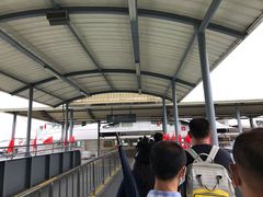 -厦门邮轮中心厦鼓码头(轮渡站)