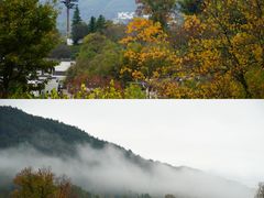 -塔川景区