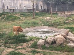 -西安秦岭野生动物园