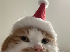 -BEAST野兽派(上海浦东嘉里城店)