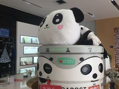 -熊猫邮局(少城店)