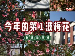-包公祠