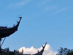 -红梅公园