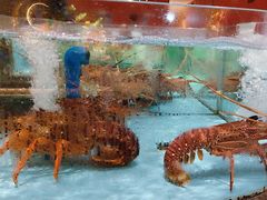 -阿伟海鲜楼·福建菜(延寿店)