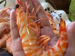 -阿浪海鲜连锁加工店(B栋2排1号火车头店)
