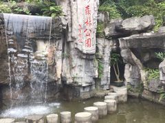 -广州市流溪河国家森林公园