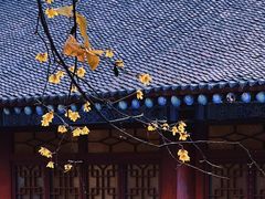 -西安大兴善寺