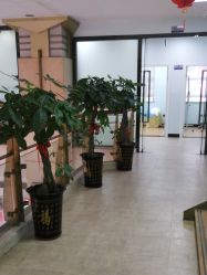 -痘博士广州·全国连锁祛痘机构
