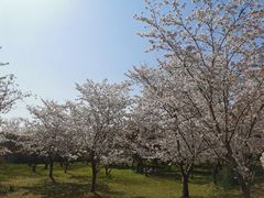 -苏州上方山国家森林公园