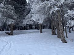 -丝绸之路山地度假区滑雪场