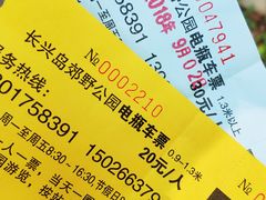 -上海长兴岛郊野公园