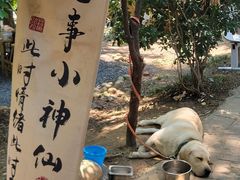 -兴福老面馆(寺路街店)