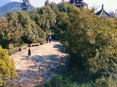 -杭州半山国家森林公园