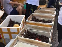 -马王堆海鲜水产市场