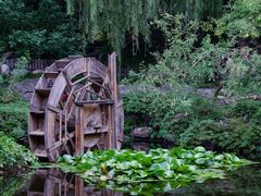 -三忘湖 SWANSEEN(柳荫公园店)