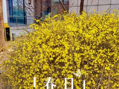 -中国人民解放军总医院第六医学中心