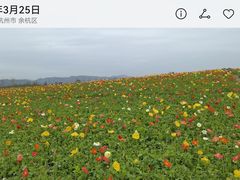 -径山花海