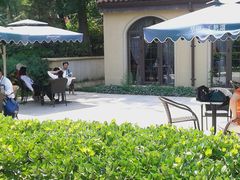 -天鹅湖生态旅游风景区