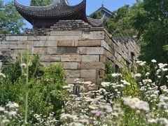 -广富林郊野公园