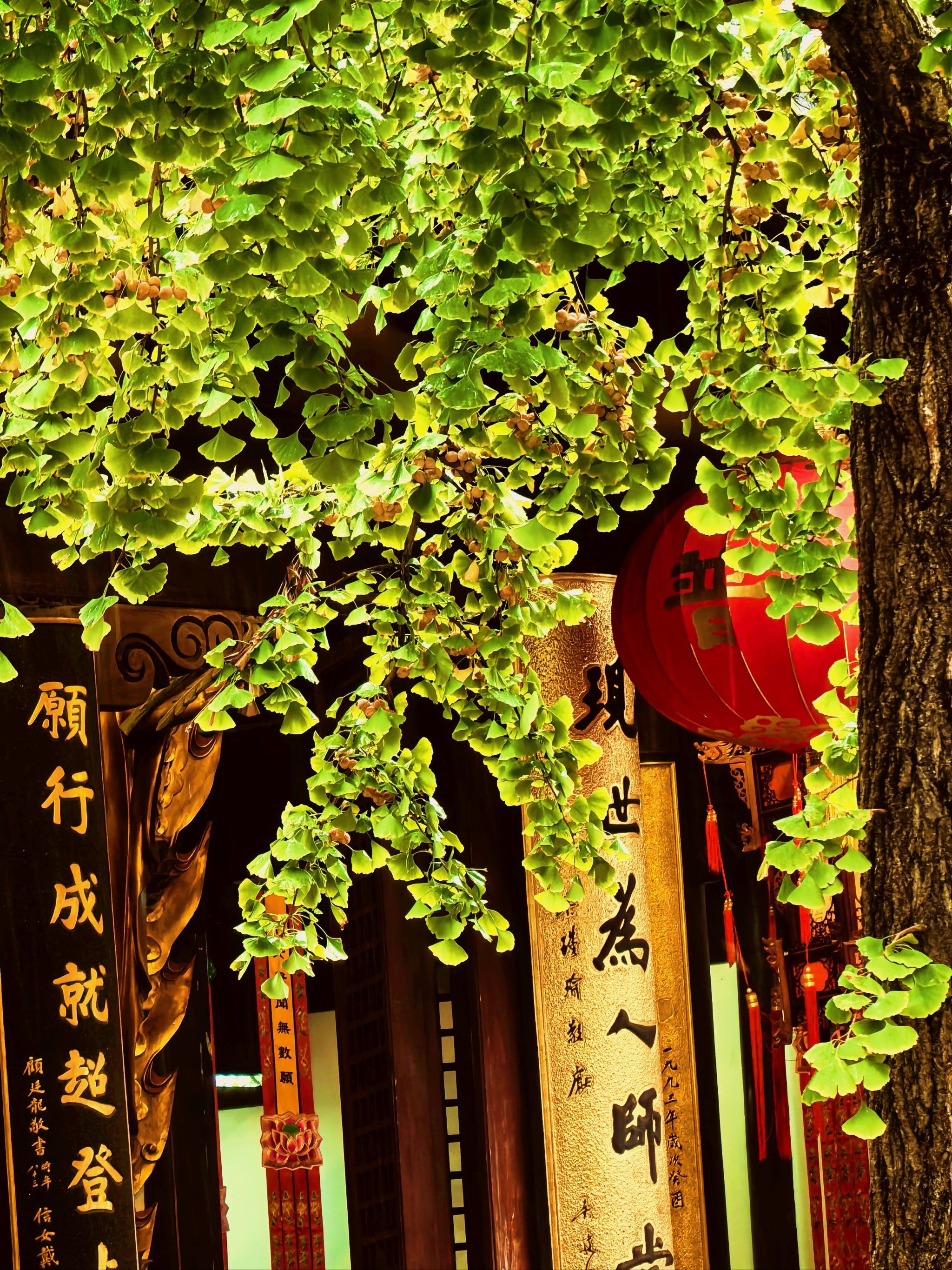 0元玩转这座城#寺庙的100种打开方式#周末休闲好时光#古建筑之美​