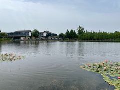 -白鹭湾湿地公园