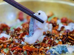 -小胖墩炝锅鱼(天钥桥路店)