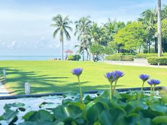 -三亚海棠湾万丽度假酒店