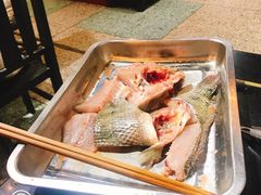 -费明中罗非鱼(大石坝店)