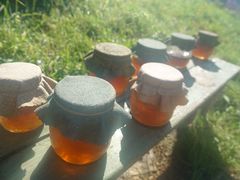 -霍比特人村
