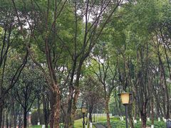 -重庆市江北嘴中央商务区中央公园