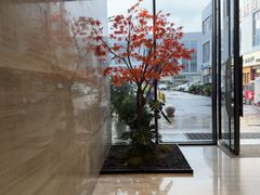 -唐宫足道·SPA·住宿24H会所(木渎店)