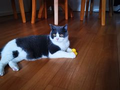 -LINLEE林里·手打柠檬茶(黄浦茂名南路店)