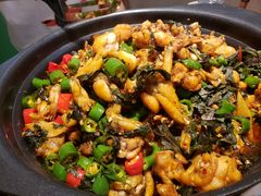 -蛙小侠(亚欧商厦店)