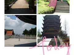 -铁山坪森林公园