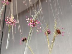 -赵小姐丨新中餐(曲江店)
