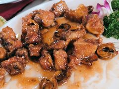 -麻奢鸽农庄·梦里水乡