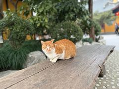 -龙华寺