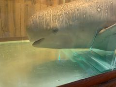 -北海金海湾红树林生态旅游区