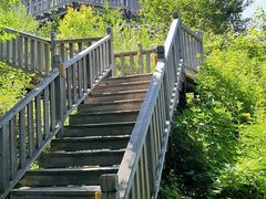 -帽儿山国家森林公园